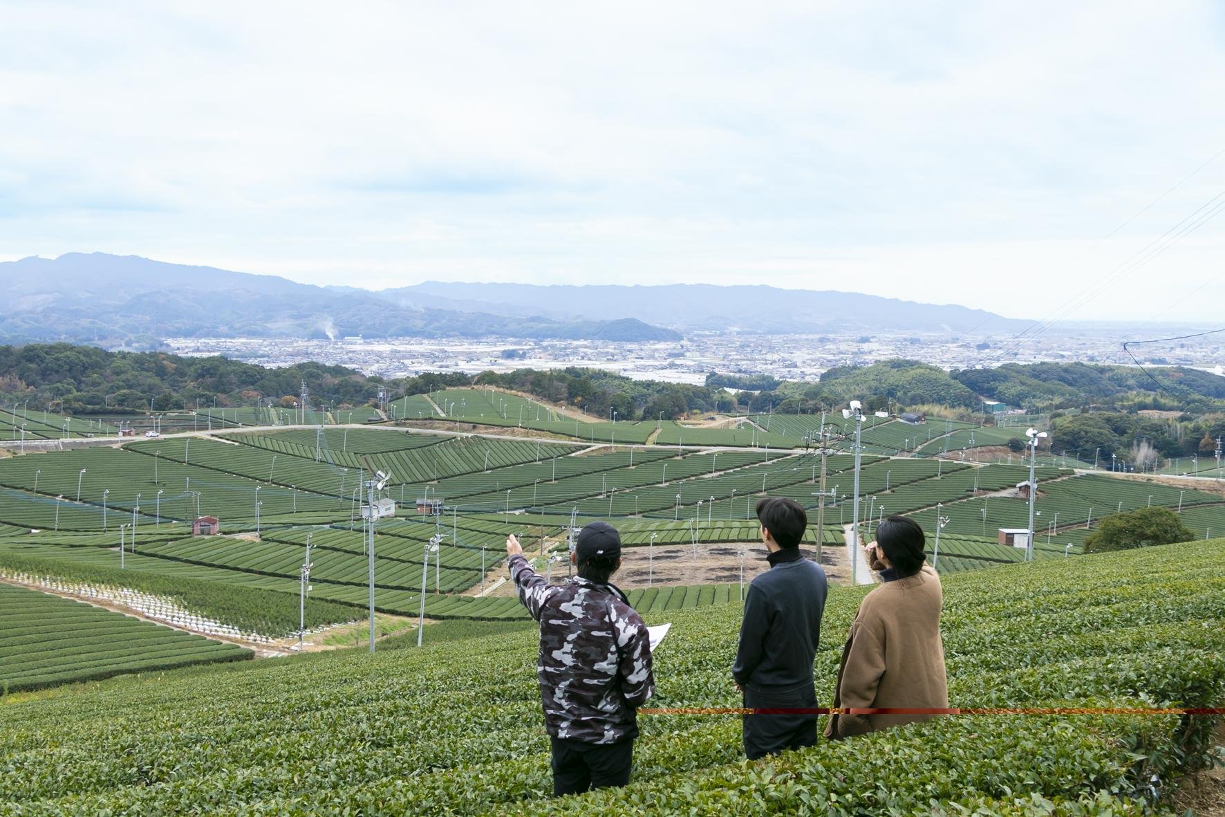 🏛️ 사가시 서복 장수관 (사가시 조후쿠초주칸) 이미지 5